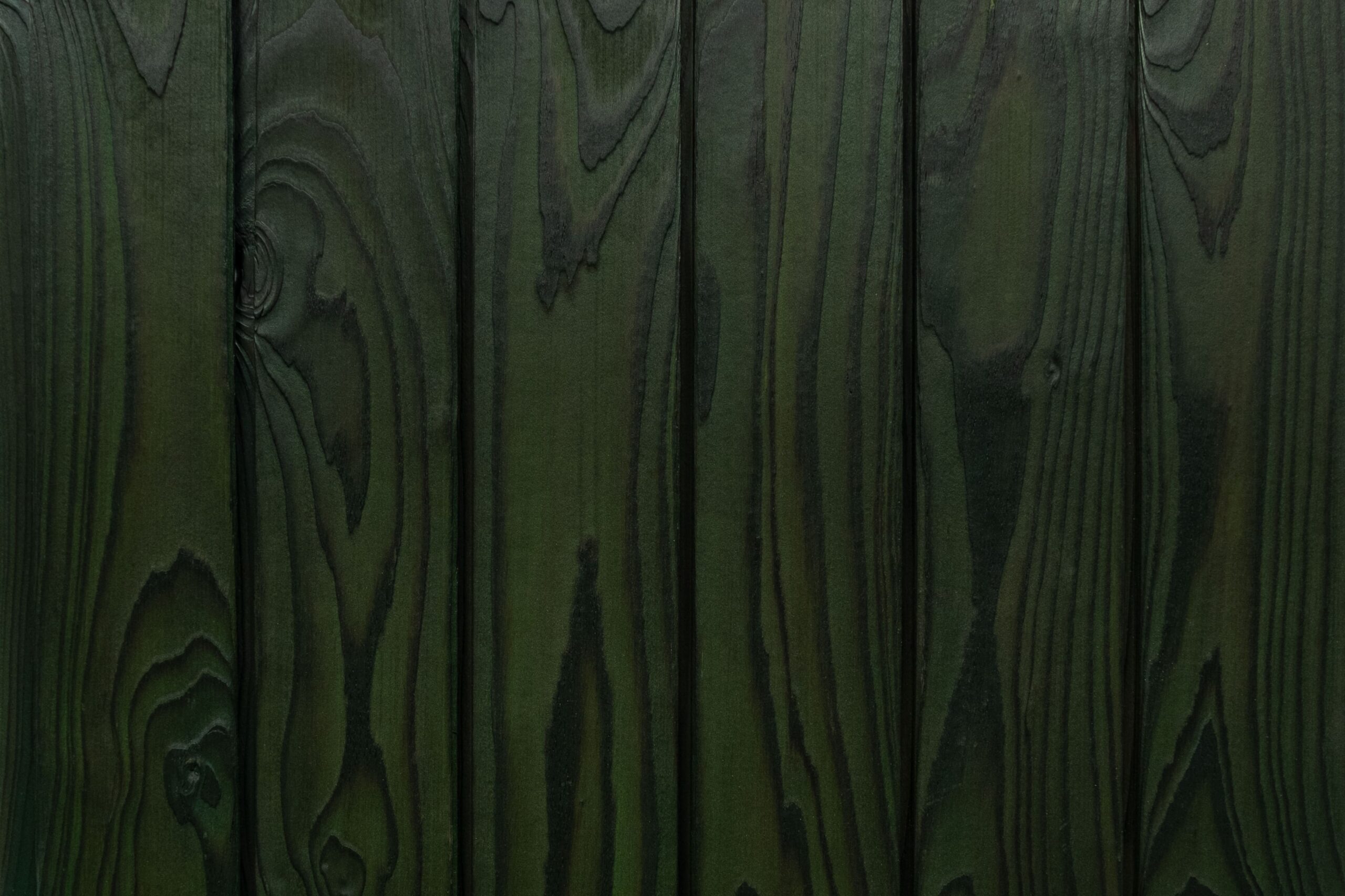 Degintos maumedžio dailylentės Medeksa Moss