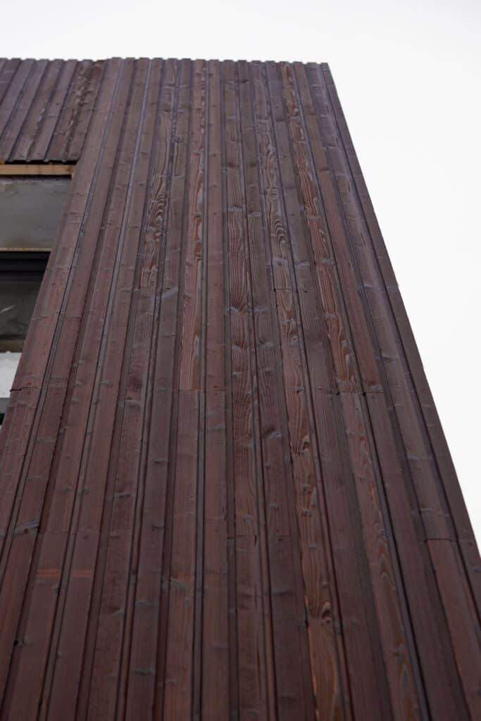 Degintos medienos dailylentes